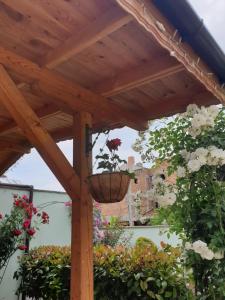 A garden outside Mirana Family Hotel