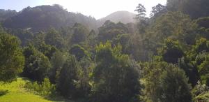 Gallery image of Tall Trees Eco Retreat - Blackwood Cottage in Apollo Bay