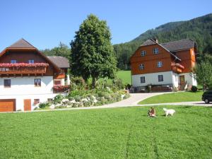 Ein paar Hunde sitzen im Gras neben einem Haus. in der Unterkunft Hüttstädterhof Familie Pötsch in Aigen im Ennstal