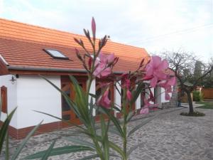 Gallery image of Birsalma Vendégház in Markaz +3 photos