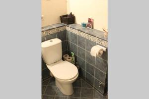 baño con aseo blanco y azulejos azules en Penthouse Apartment with Great Panoramic City View, en Vilna