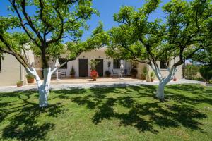 two trees in the yard of a house at Studios Kydonia in Gerani