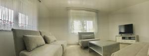 TV a/nebo společenská místnost v ubytování Apartments Andrej - Optuj