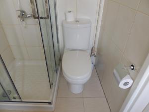 a small bathroom with a toilet and a shower at Delphi Hotel in Nicosia