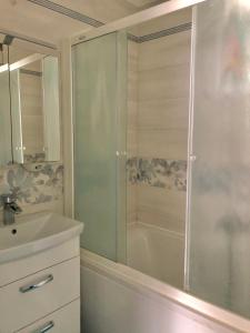 La salle de bains est pourvue d'une douche et d'un lavabo. dans l'établissement Apartments Andrej, à Ptuj
