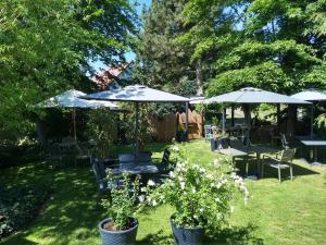 Afbeelding uit fotogalerij van Das Gartenhaus in Neudorf