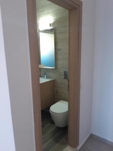 a bathroom with a toilet and a sink and a mirror at Calypso in Agia Roumeli