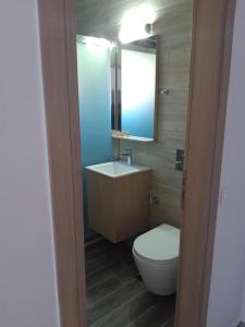 a bathroom with a toilet and a sink and a mirror at Calypso in Agia Roumeli