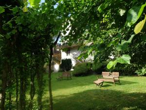 Zahrada ubytování Hôtel Ambroise