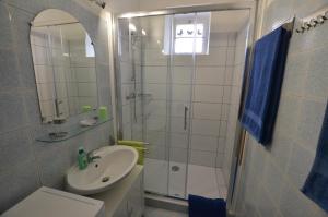 W łazience znajduje się toaleta z umywalką i prysznic. w obiekcie Carmelo House w Rovinj
