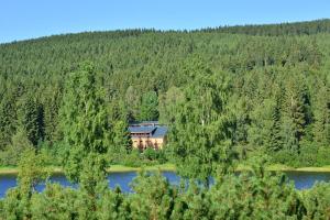 a house in the middle of a river with trees at Montanie Resort in Desná