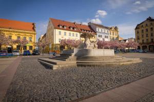 Una statua in mezzo a una strada con edifici di Hotel Česká Koruna a Děčín