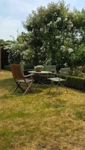Merelbeke的住宿－拉克里杜塞床和早餐，两把椅子和一张桌子,在树荫下的院子