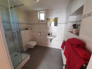 ein Bad mit einer Dusche, einem WC und einem Waschbecken in der Unterkunft Gasthof Zum Amboss in Lützen