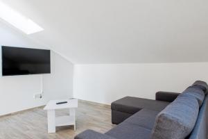 TV a/nebo společenská místnost v ubytování Apartments Žilić
