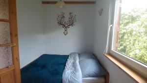 Afbeelding uit fotogalerij van Domek pod Czulnią in Uherce Mineralne