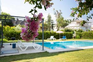 Fotografie z fotogalerie ubytování EV Apartments v destinaci Belek