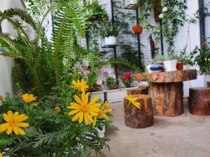 Zahrada ubytování Aki 秋 Hostel