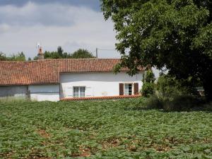 ein weißes Haus mit einem großen Feld davor in der Unterkunft La maisonnette in Les Adjots