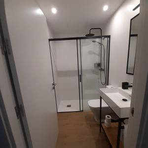 a bathroom with a shower and a toilet and a sink at Loft en Zarautz con Parking Hator 2 in Zarautz