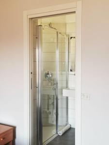 ブレンゾーネにあるアルベルゴ アル ペスカトーレのバスルーム(ガラスドア付きのシャワー付)