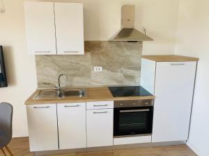 Kuchyňa alebo kuchynka v ubytovaní Apartman Irena 3