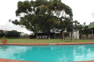 a swimming pool in a yard with a tree at Juffroushoogte Gaste Plaas in Vredenburg