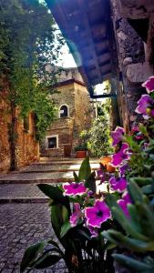a group of pink flowers in front of a building at La Mensa Ponderaria in Tivoli +39 photos
