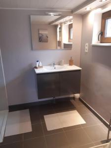 une salle de bain avec un lavabo et un miroir dans l'établissement A La Reid Paisible, à Theux