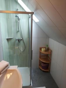 a bathroom with a shower and a sink at Haus Anneliese in Pruggern