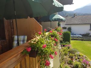 Widok na góry z tego apartamentu