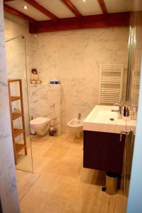 a bathroom with a sink and a toilet and a shower at Grand Tamaris Hosting in Arles