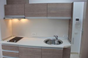 a kitchen with a sink and wooden cabinets at Gabroveni Aparthotel in Bucharest