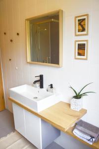 A bathroom at Lesnavesna designer Apartment with a garden