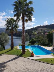 a swimming pool with two palm trees and a lake at Casa Dos Gaios in Vieira do Minho