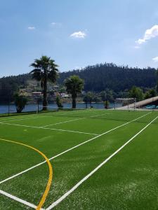 a tennis court with palm trees and water in the background at Casa Dos Gaios in Vieira do Minho