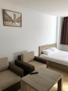 布加勒斯特的住宿－Gabroveni Aparthotel，客厅配有沙发和1张床