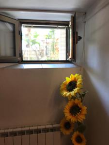 Fotografie z fotogalerie ubytování Apartmani Luiza v destinaci Cres