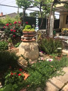 Zahrada ubytování Apartmani Luiza