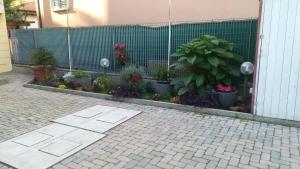 einen Garten mit Pflanzen und Blumen im Zaun in der Unterkunft Appunti di Viaggio Room & Breakfast in San Giorgio di Piano