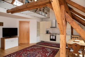 uma ampla sala de estar com uma televisão e uma cozinha em Erzherzog Johann Relax Appartements em Ehrenhausen