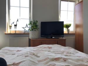 Telewizja i/lub zestaw kina domowego w obiekcie Przystań Stary Folwark