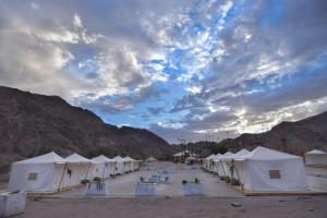 midbarya camping eilat