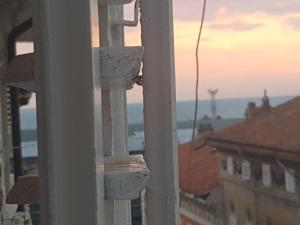 Příroda nedaleko prázdninového domu + 54 fotografií