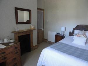 a bedroom with a bed and a fireplace and a mirror at Wyndham Park Lodge in Salisbury