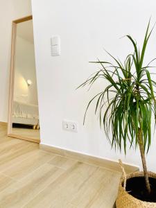 a potted plant sitting on the floor next to a mirror at Pure Fonte Velha B&B in Vila do Bispo