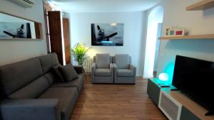 een woonkamer met een bank en een tv bij APARTAMENTOS EL POZO AMARGO in Toledo