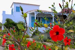 Photo de la galerie de l'établissement Grand Bleu Apartments & Villas, à Hermione