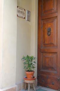 une plante en pot assise sur un tabouret à côté d'une porte dans l'établissement Alter Ego b&b Assisi, à Assise