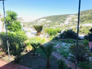 Gambar di galeri bagi Ponza Cala Feola IMMOBILEVANTE di Ponza +54 gambar